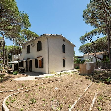 Villa Del Mare - Appartamento Aria Pula Eksteriør billede